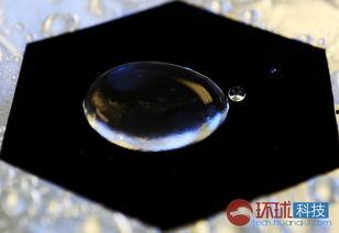 黑科技黑料网