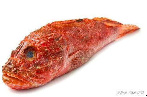 网红鱼神黑料,背后真相令人震惊